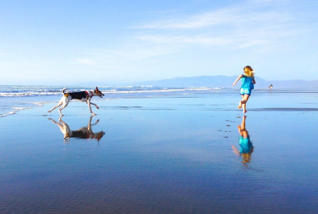 Taking a break helps get back to work with renewed energy and motivation. The Bay Area gives people ample of activities to get stress off their heads.